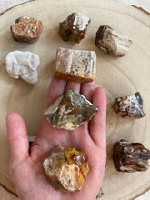 Charger l'image dans la galerie, Bois silicifié - forme libre- Qualité extra -Taille L