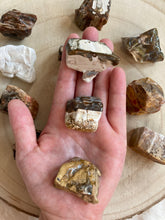 Charger l'image dans la galerie, Bois silicifié - forme libre- Qualité extra -Taille L