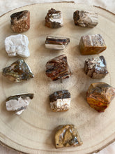 Charger l'image dans la galerie, Bois fossile , Bois silicifié : Ancrage doux. Se connecter à nos racines. Arbre intérieur et généalogique. Soutien familial. Faire la paix avec nos origines familiales.