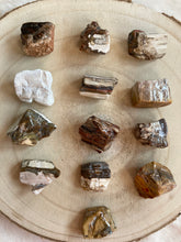 Charger l'image dans la galerie, Bois silicifié - forme libre- Qualité extra -Taille L