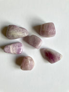 Kunzite - Pierres roulées - Qualité Extra Taille S (2-3 cm)