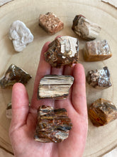 Charger l'image dans la galerie, Bois silicifié - forme libre- Qualité extra -Taille L
