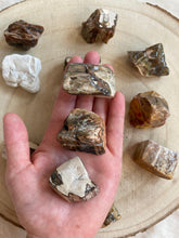 Charger l'image dans la galerie, Bois silicifié - forme libre- Qualité extra -Taille L
