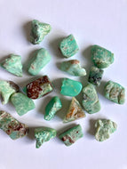 Chrysoprase - Pierres roulées - Qualité extra - Taille S (2-3 cm)