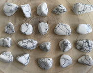 Howlite - Pierres roulées - Qualité A -Taille M (3-5 cm)