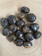Stromatolite - Pierres roulées de stromatolite - Vertus stromatolite - Qualité AAA -Taille M